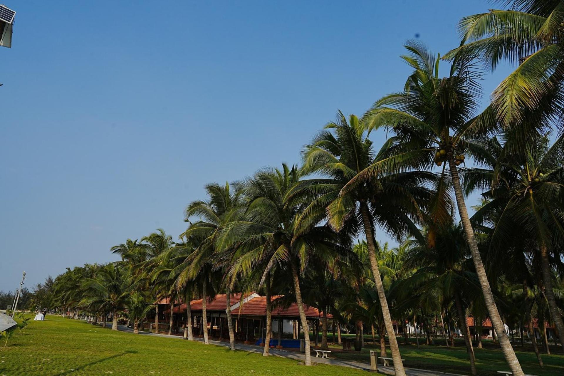 Dat Lanh Beach Resort La Gi Eksteriør billede