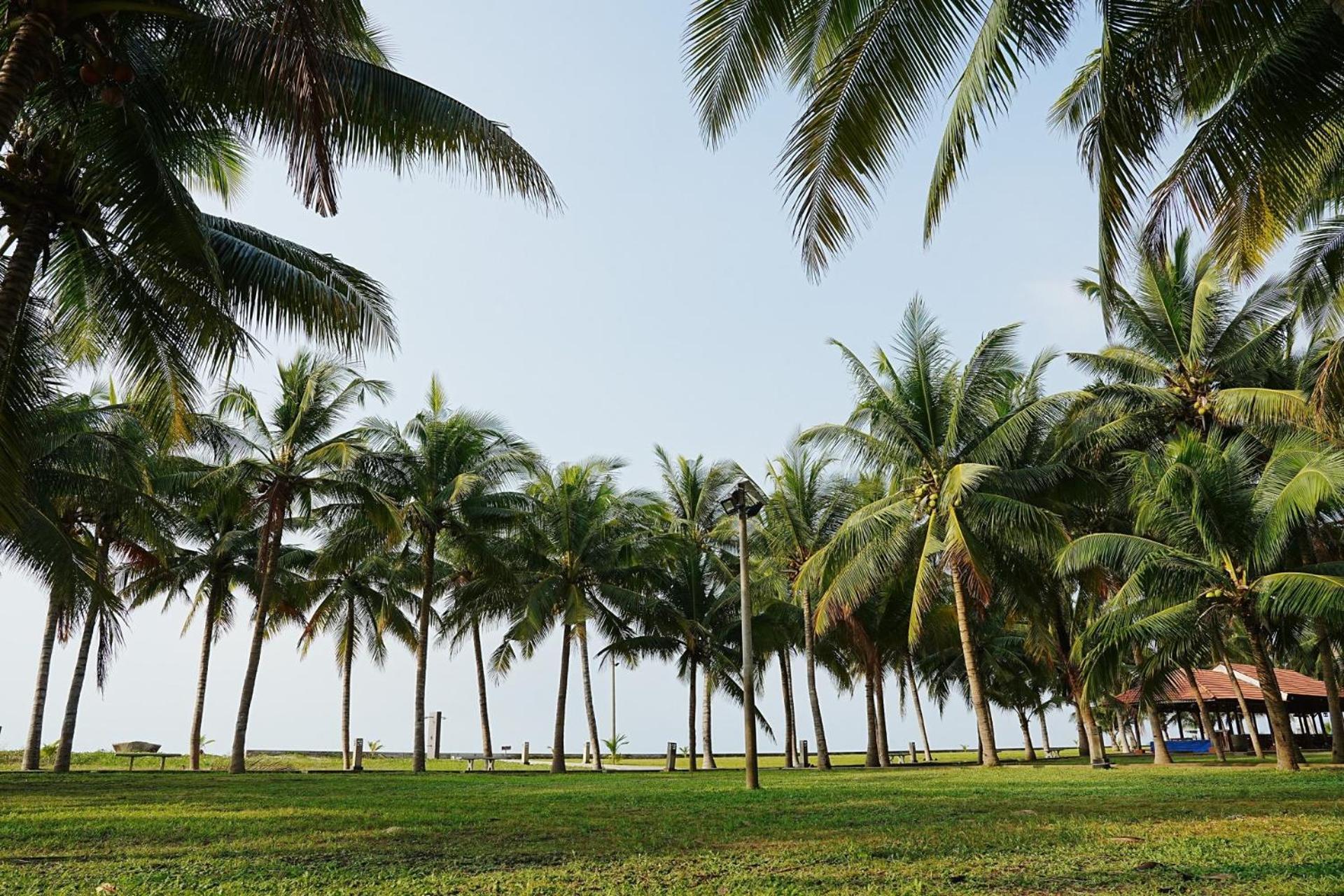 Dat Lanh Beach Resort La Gi Eksteriør billede